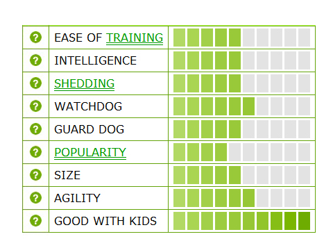 Affenpinscher Ratings